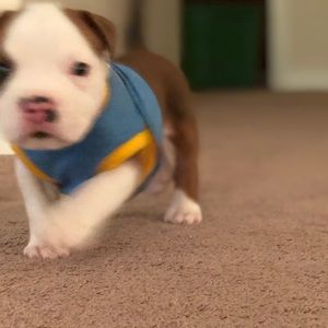 Meet your Posher, Kasandra